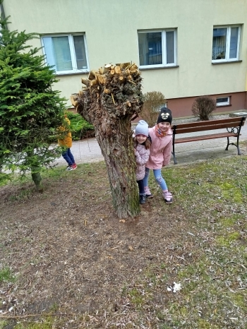 a11609a2-01d7-4690-ab0e-f9fc5a7d3f42.jpeg