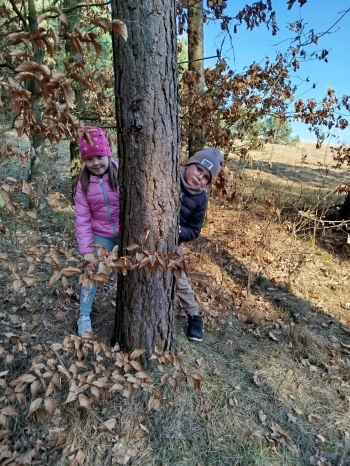 c9d52595-6026-4c01-8c5c-30e877fba997.jpeg