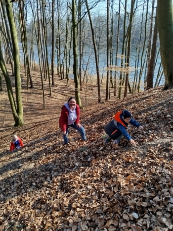 ae958074-f09a-4608-bdee-35e1d7501872.jpeg