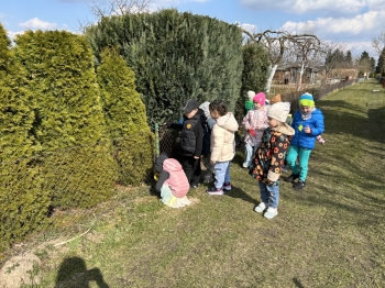IMG_3895.jpeg