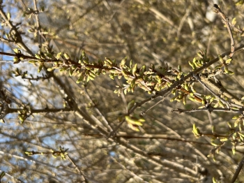 IMG_3908.jpeg