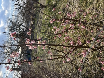 IMG_3927.jpeg