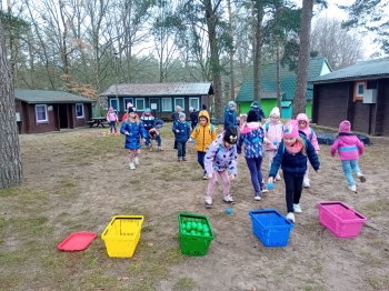 b930d155-2801-4064-ad3e-3422032f6766.jpeg