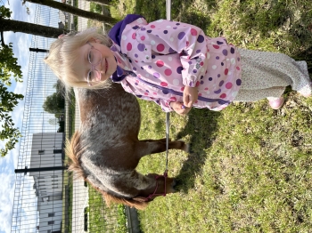 IMG_7102.jpeg