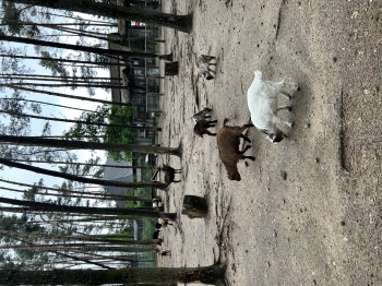 IMG_9647.jpeg