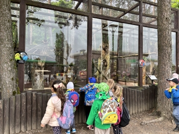IMG_9709.jpeg