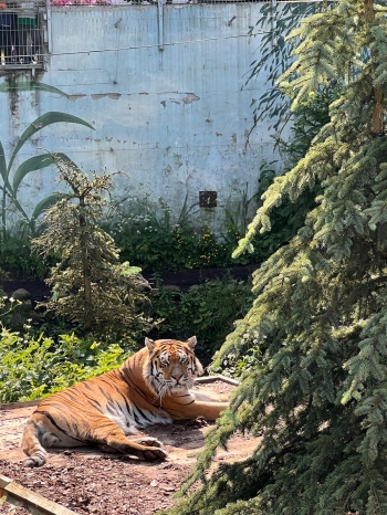 IMG_4106.jpeg