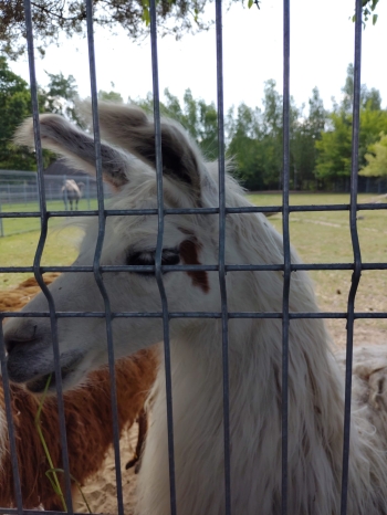 76c17453-063b-4f1a-a021-c445d33fcb31.jpeg