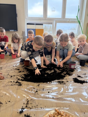 IMG_7775.jpeg