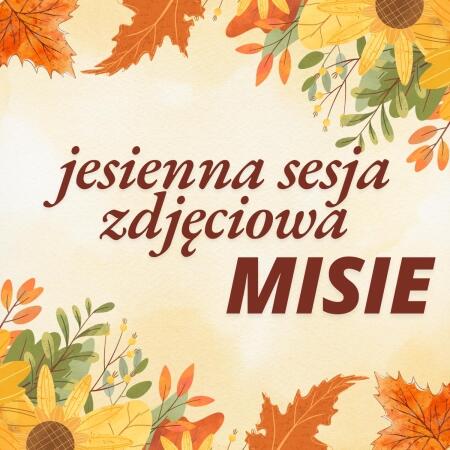 Misie - jesienna sesja zdjęciowa 