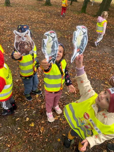 Kangurki - jesienne aktywności 