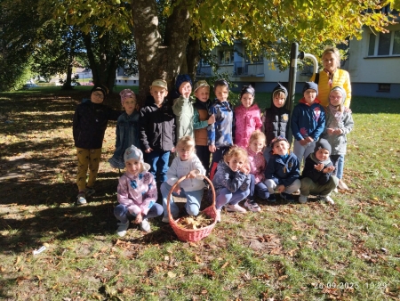 Sówki - zajęcia we wrześniu 