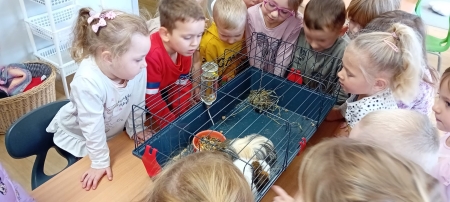 Misie - Dzień Dziewczynki i Dzień Chłopaka, wizyta domowych zwierząt 