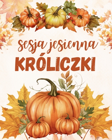 Króliczki - sesja jesienna 