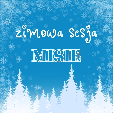 Misie - zimowa sesja zdjęciowa 