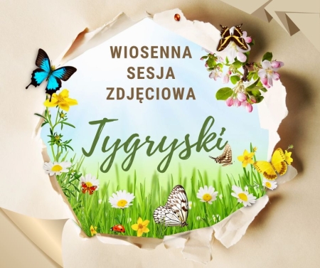 Tygryski - wiosenna sesja zdjęciowa 