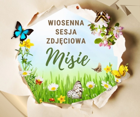 Misie - wiosenna sesja zdjęciowa 
